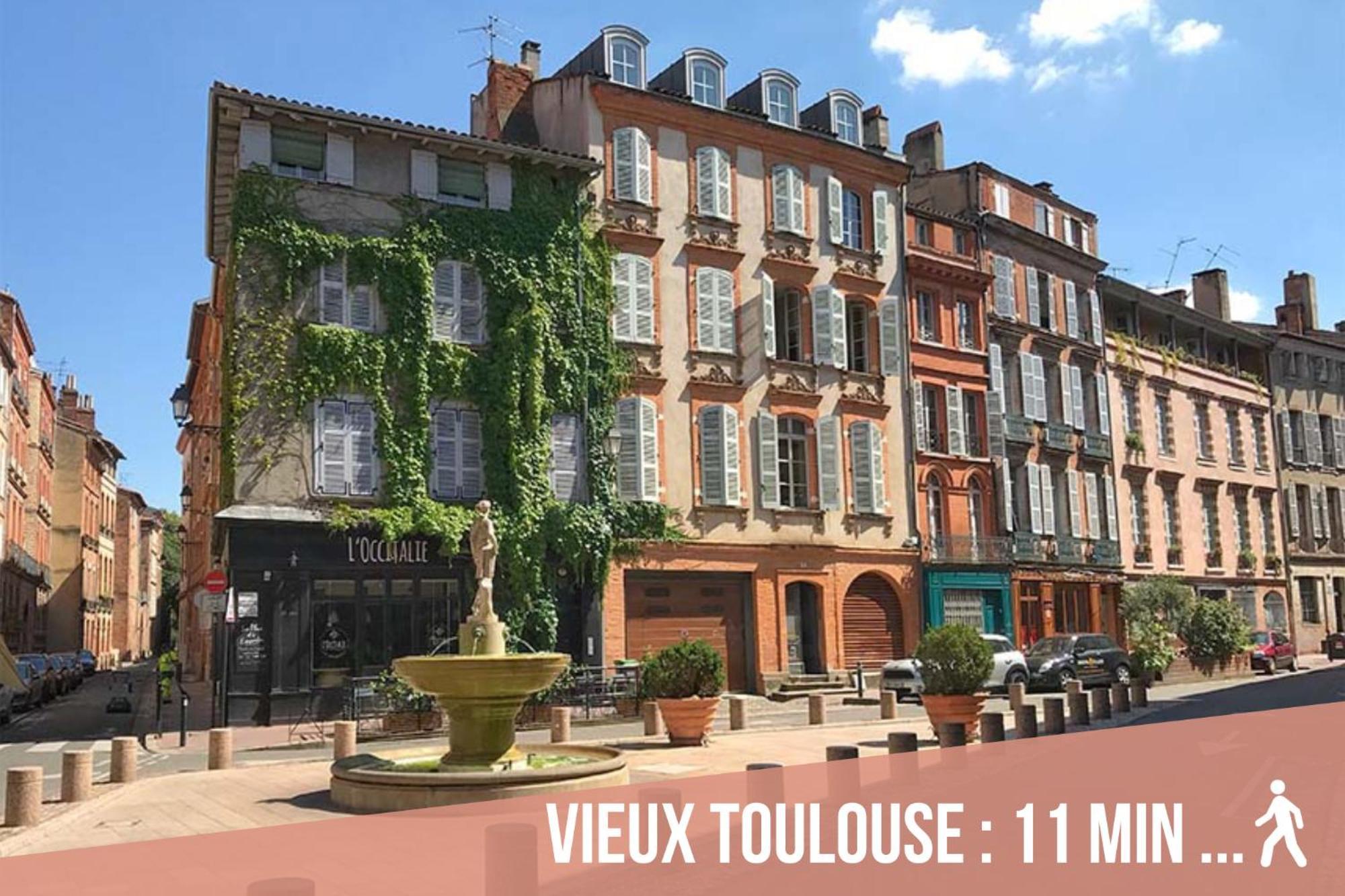 Chartreuse, Clim, Parking, Terrasse Au Calme Διαμέρισμα Τουλούζη Εξωτερικό φωτογραφία