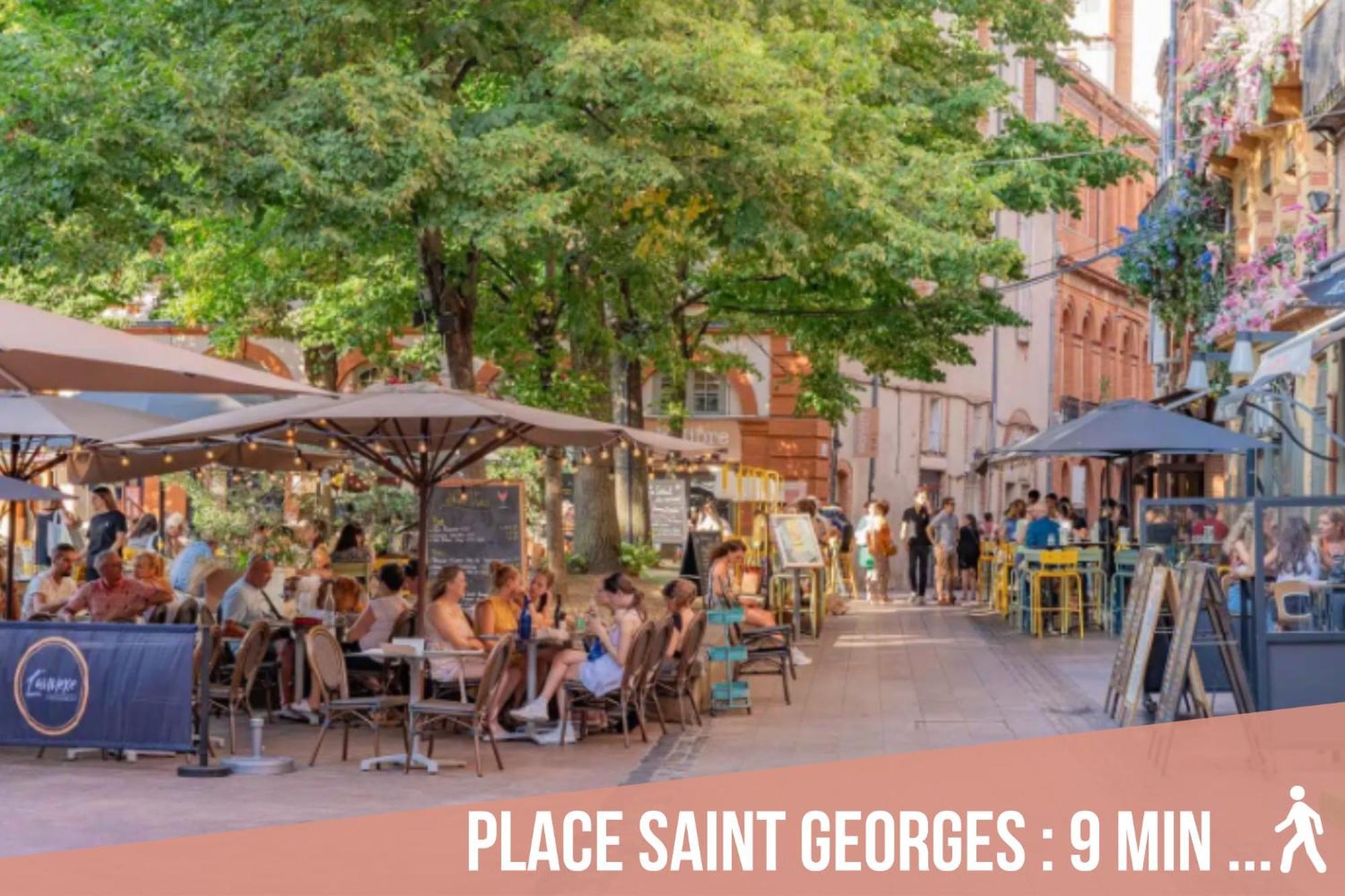 Chartreuse, Clim, Parking, Terrasse Au Calme Διαμέρισμα Τουλούζη Εξωτερικό φωτογραφία